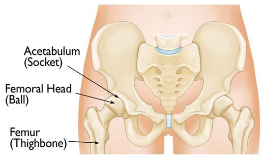 Pelvic- Acetabular Reconstruction